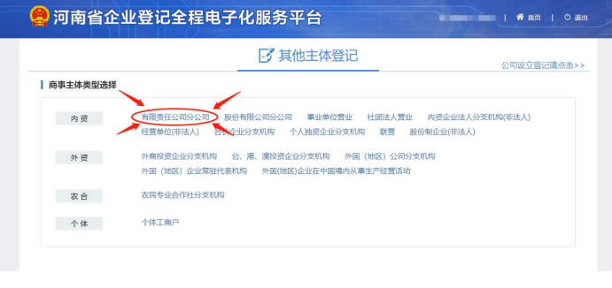 河南省營業(yè)執(zhí)照網(wǎng)上申報選擇有限責任分公司注冊