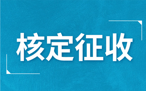 江西大額個(gè)體戶核定征收標(biāo)準(zhǔn)，2024年最新政策